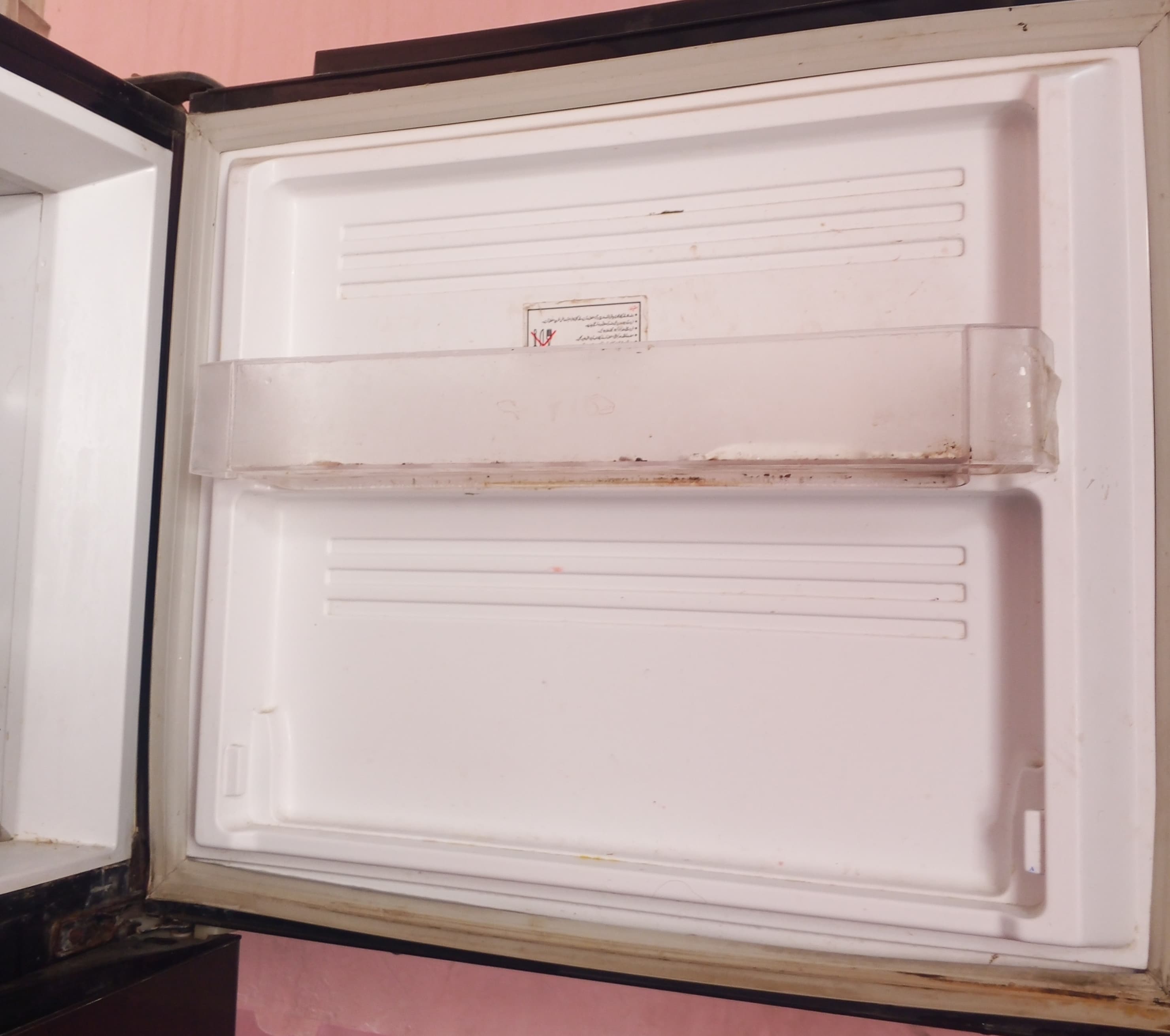 PEL Family Size Refrigerator / Fridge for Sale | Large Capacity
