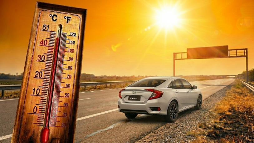 Top 8 Summer Car Accessories for 2026