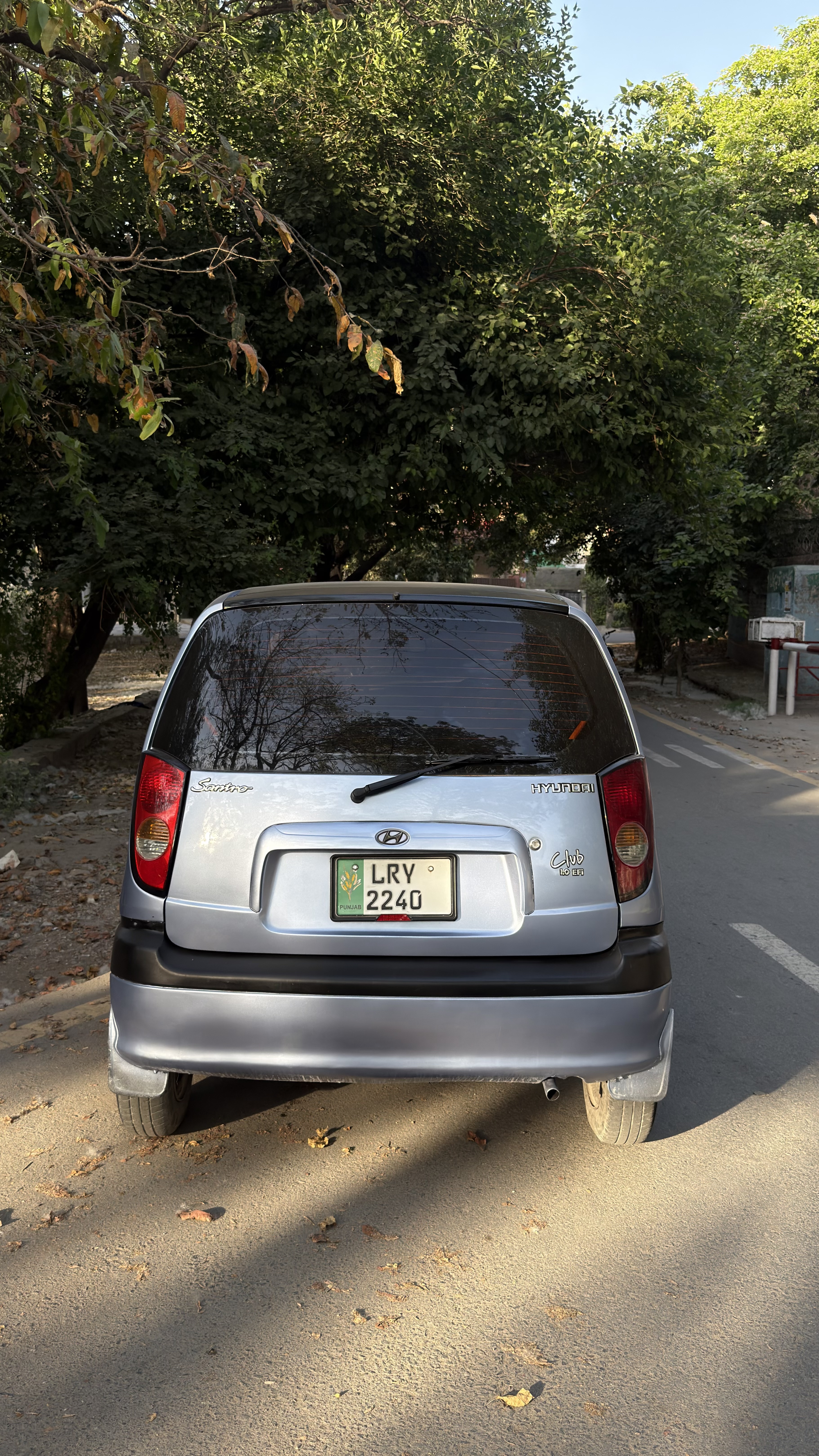 Photo 4